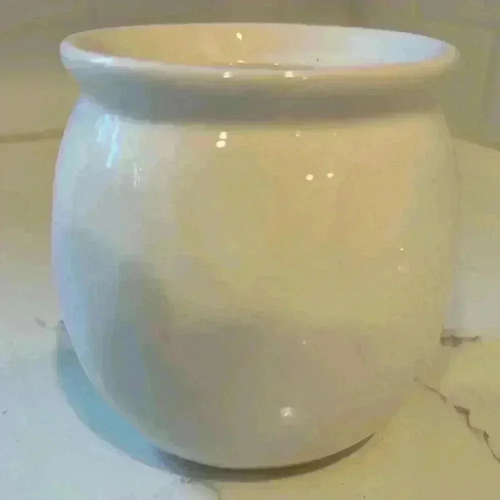 Magenta (Rae Dunn) Naughty Pot